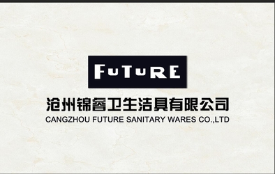 ΚΙΝΑ CangZhou Future Sanitaryware Co.,Ltd.