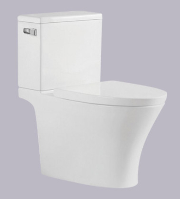 Παγίδα φιλιππινέζικο Washbasin 695*395*750mm του S Watercloset τουαλετών δύο κομματιού
