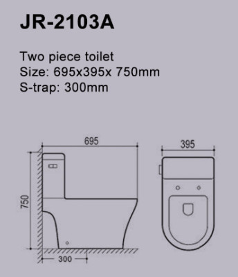 Παγίδα φιλιππινέζικο Washbasin 695*395*750mm του S Watercloset τουαλετών δύο κομματιού